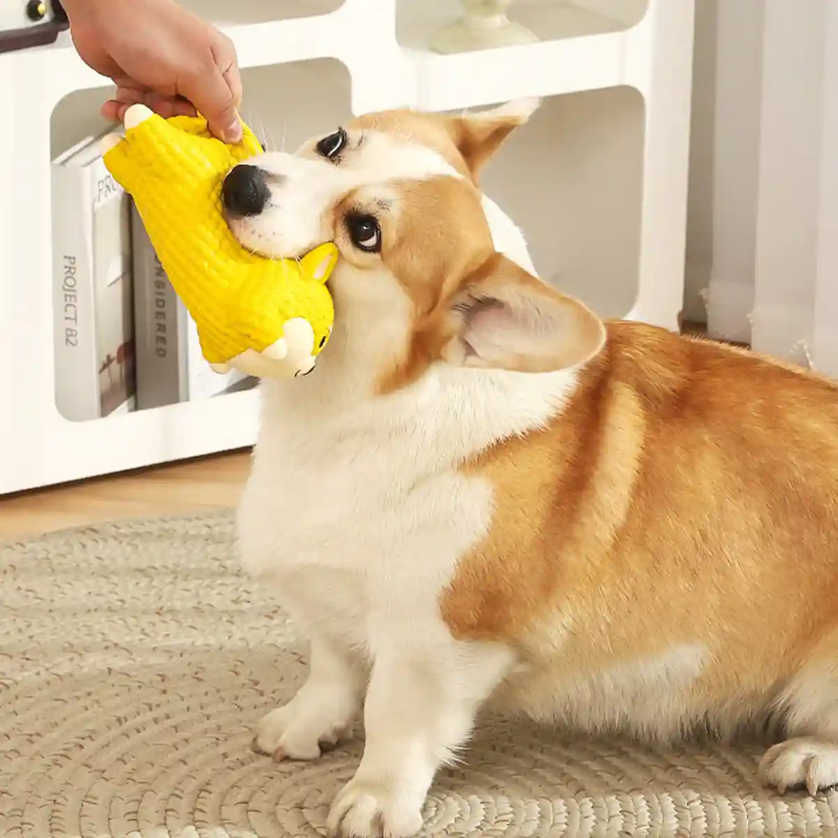 Dog Teething Toy Natural Latex Puppy Chew Toy - Image 8