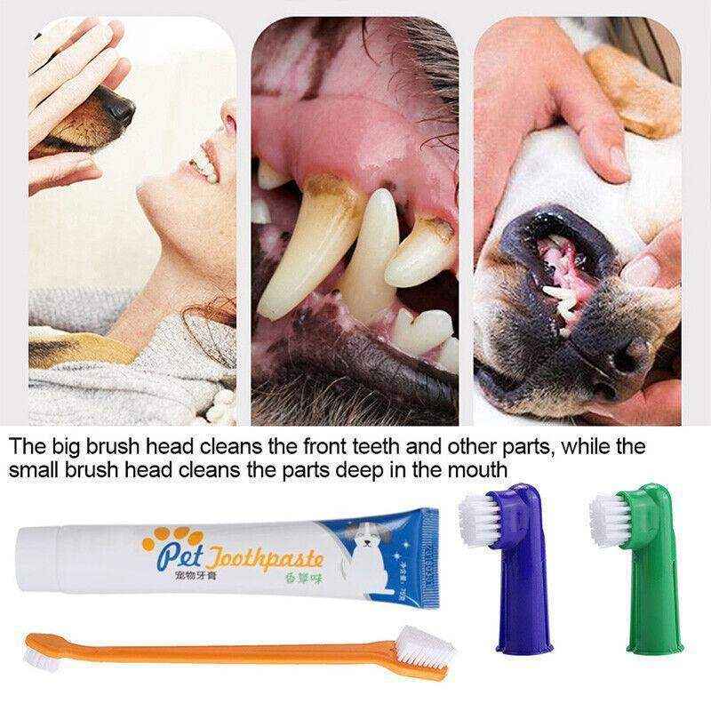 4PCS Pet Dog Toothbrush and Toothpaste Set - Image 11