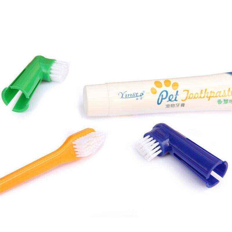 4PCS Pet Dog Toothbrush and Toothpaste Set - Image 12