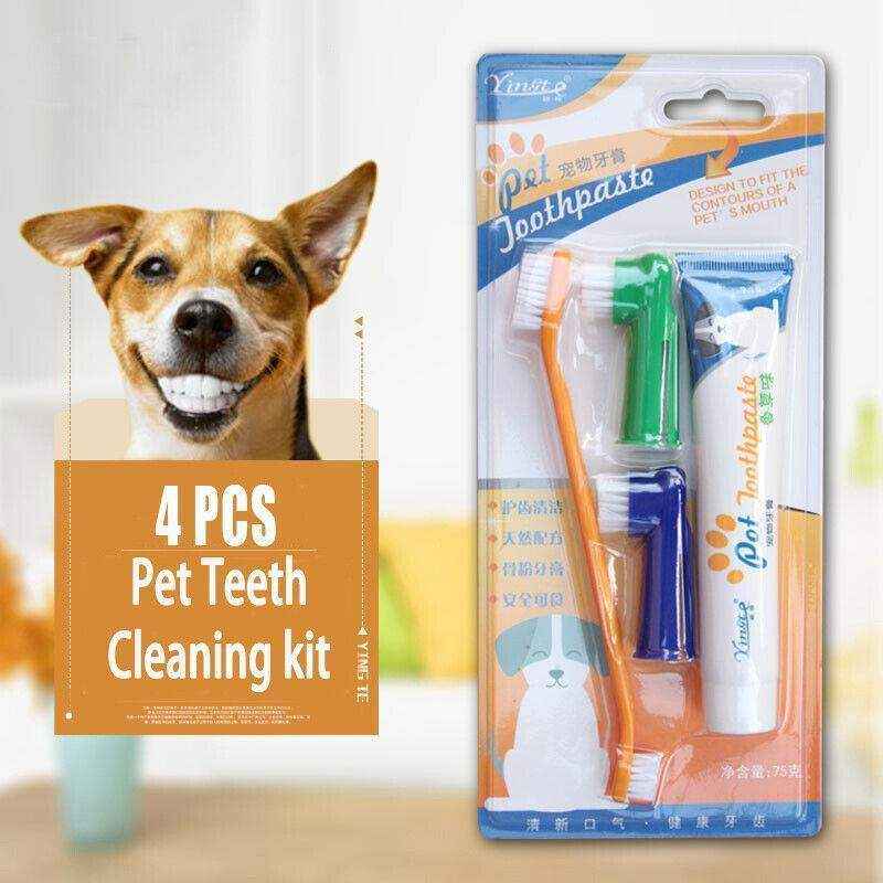 4PCS Pet Dog Toothbrush and Toothpaste Set - Image 3