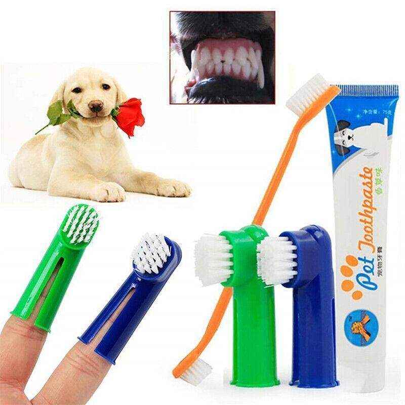 4PCS Pet Dog Toothbrush and Toothpaste Set - Image 5