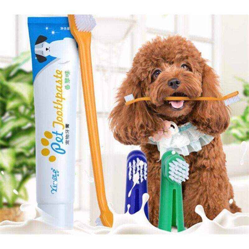 4PCS Pet Dog Toothbrush and Toothpaste Set - Image 6