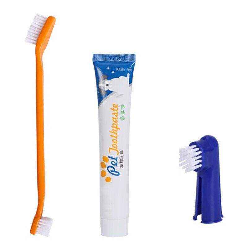 4PCS Pet Dog Toothbrush and Toothpaste Set - Image 7