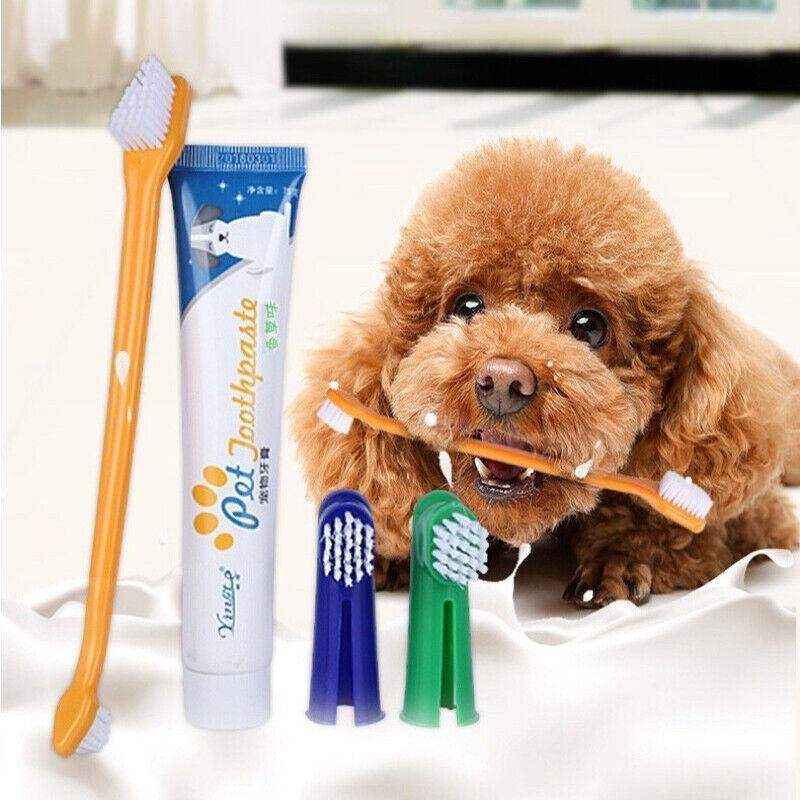 4PCS Pet Dog Toothbrush and Toothpaste Set - Image 8