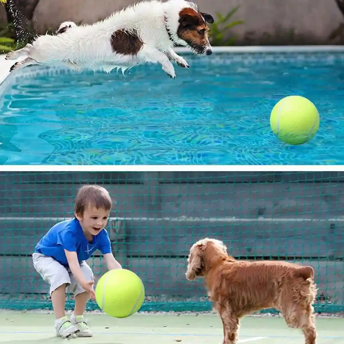 Dog Toy Tennis Ball Safe & Durable Fetch Ball for Small Dogs - Image 15