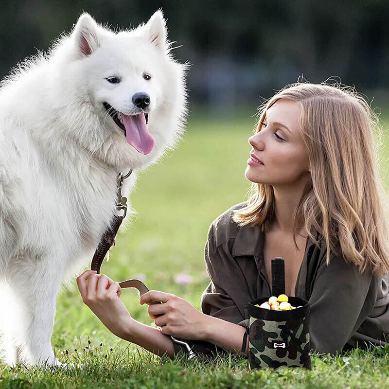 Dog Training Pouch With 2 In 1 Whistle Clicker - Image 9