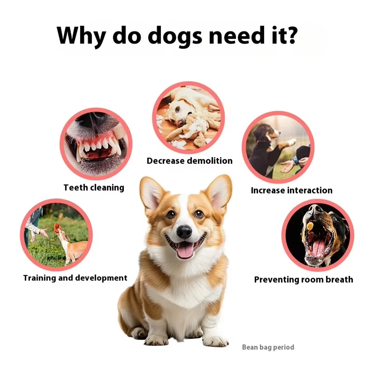Dog Treat Holder Anti-Choking Chew Toy - Image 4