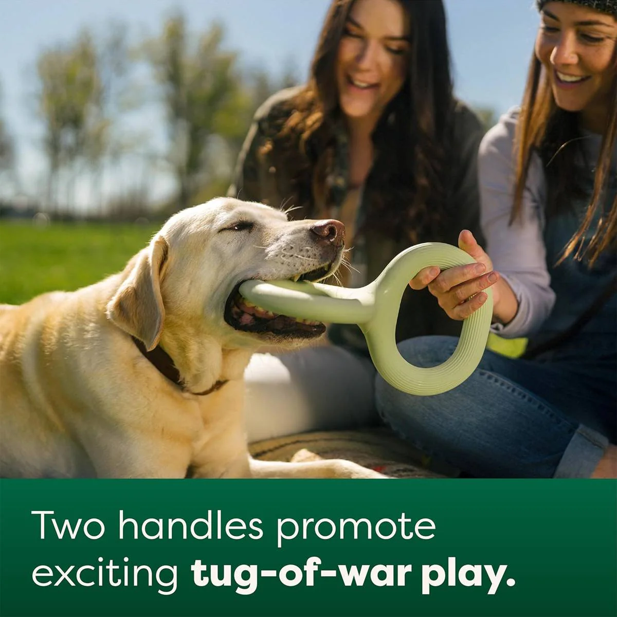 Dog Tug Toy Durable Rubber Tug Of War Toy - Image 7