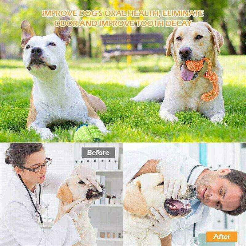11PCS Durable Dog Tug Toys Set for Interactive Play and Dental Health - Image 10