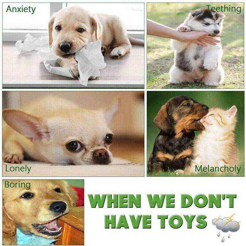 11PCS Durable Dog Tug Toys Set for Interactive Play and Dental Health - Image 7