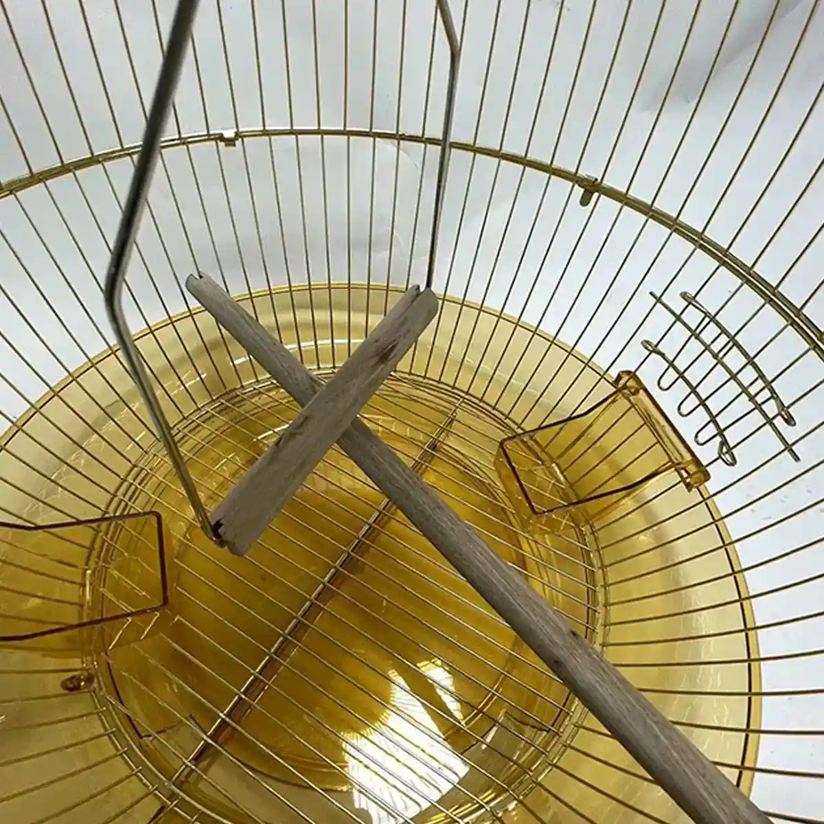Dome-Shaped Hanging Parrot Cage for Small Birds - Image 11