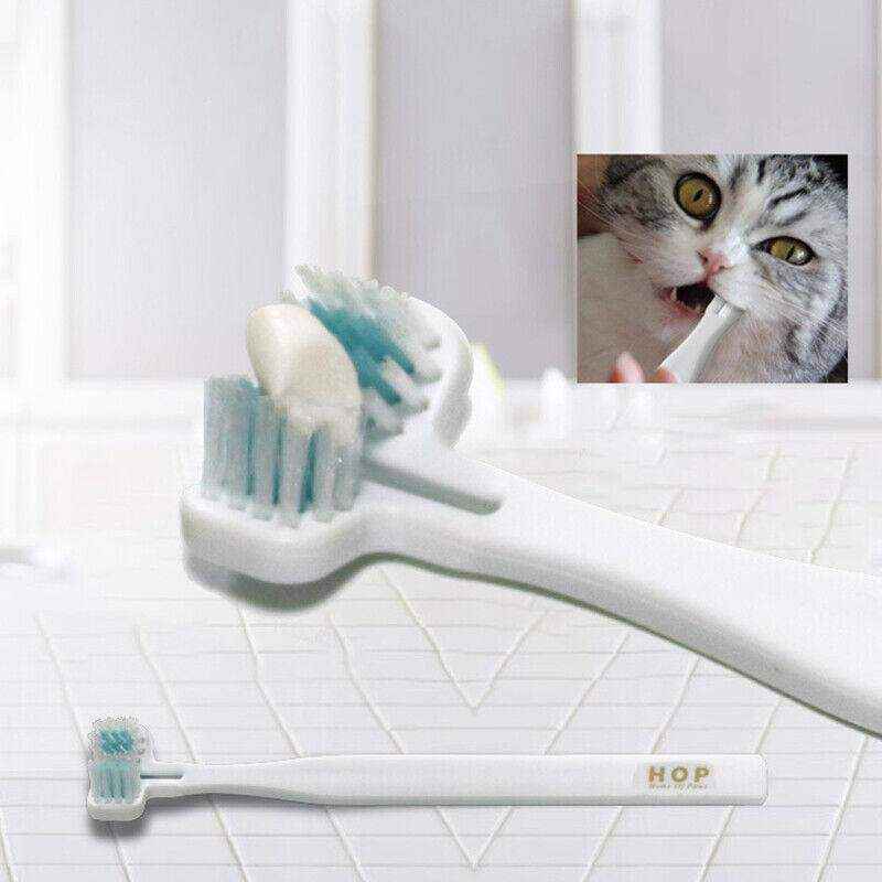 Double-Head Pet Toothbrush 17*3cm - Image 3