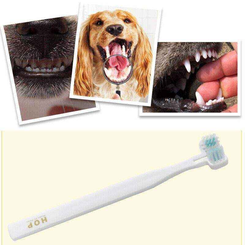 Double-Head Pet Toothbrush 17*3cm - Image 9