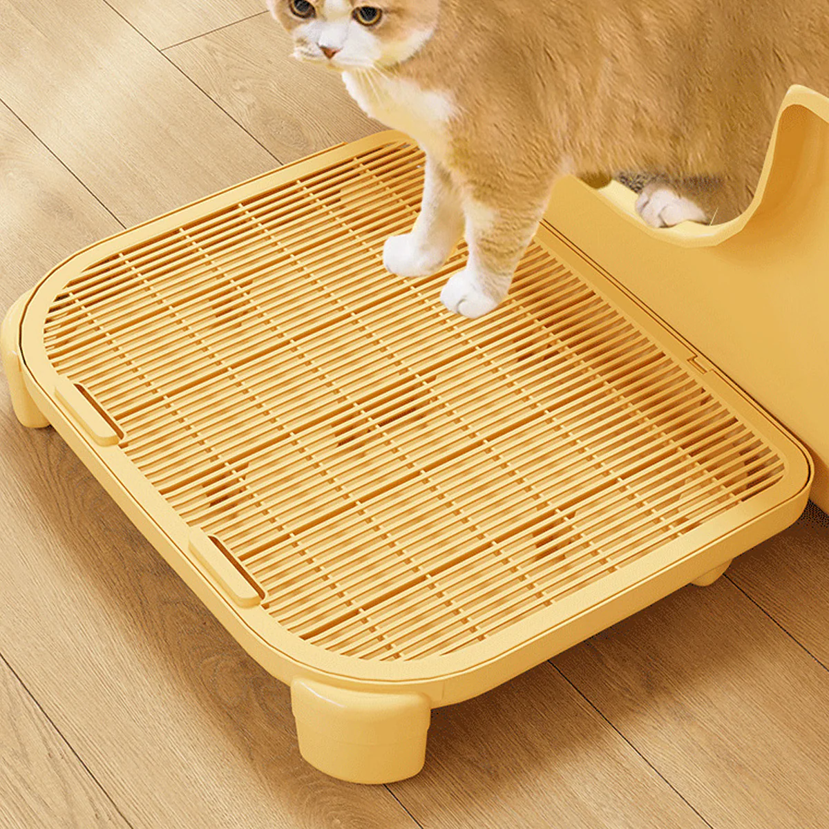 Double Layer Cat Litter Mat With Deep Tray Design - Image 12