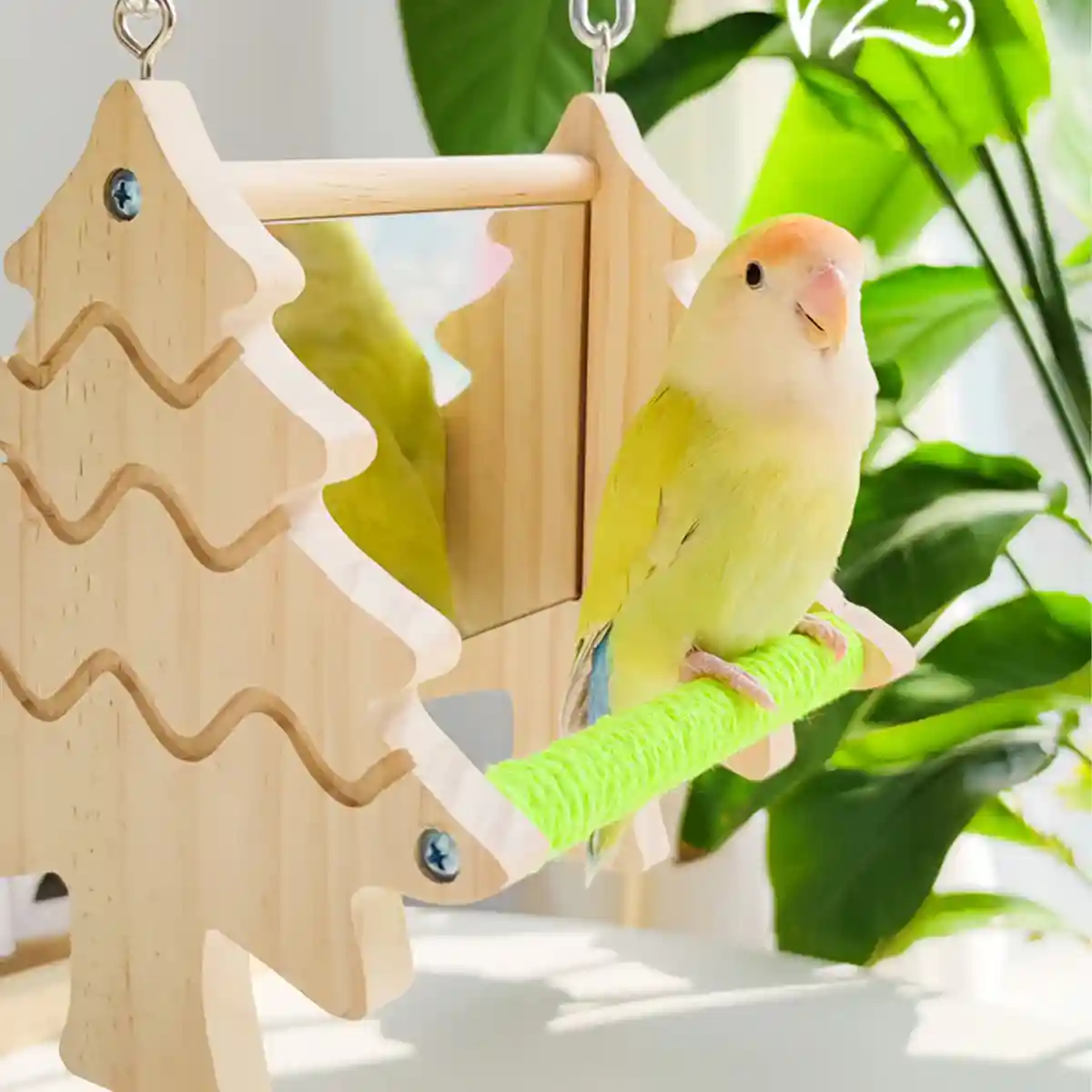 Double Sided Mirror Parrot Perch Toy Swing - Image 9