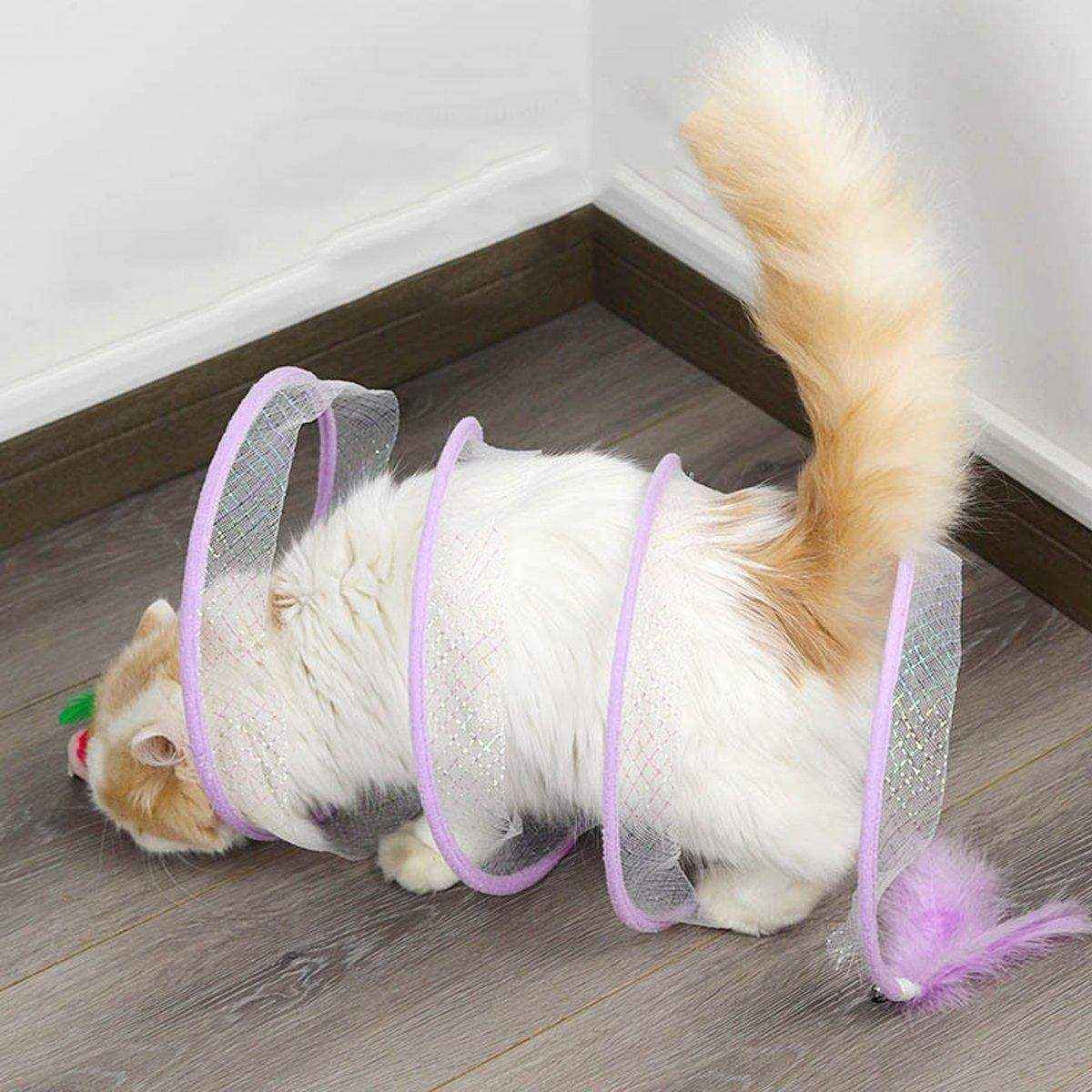 Durable Cat Toy Bundle with Collapsible Tunnel - Image 4