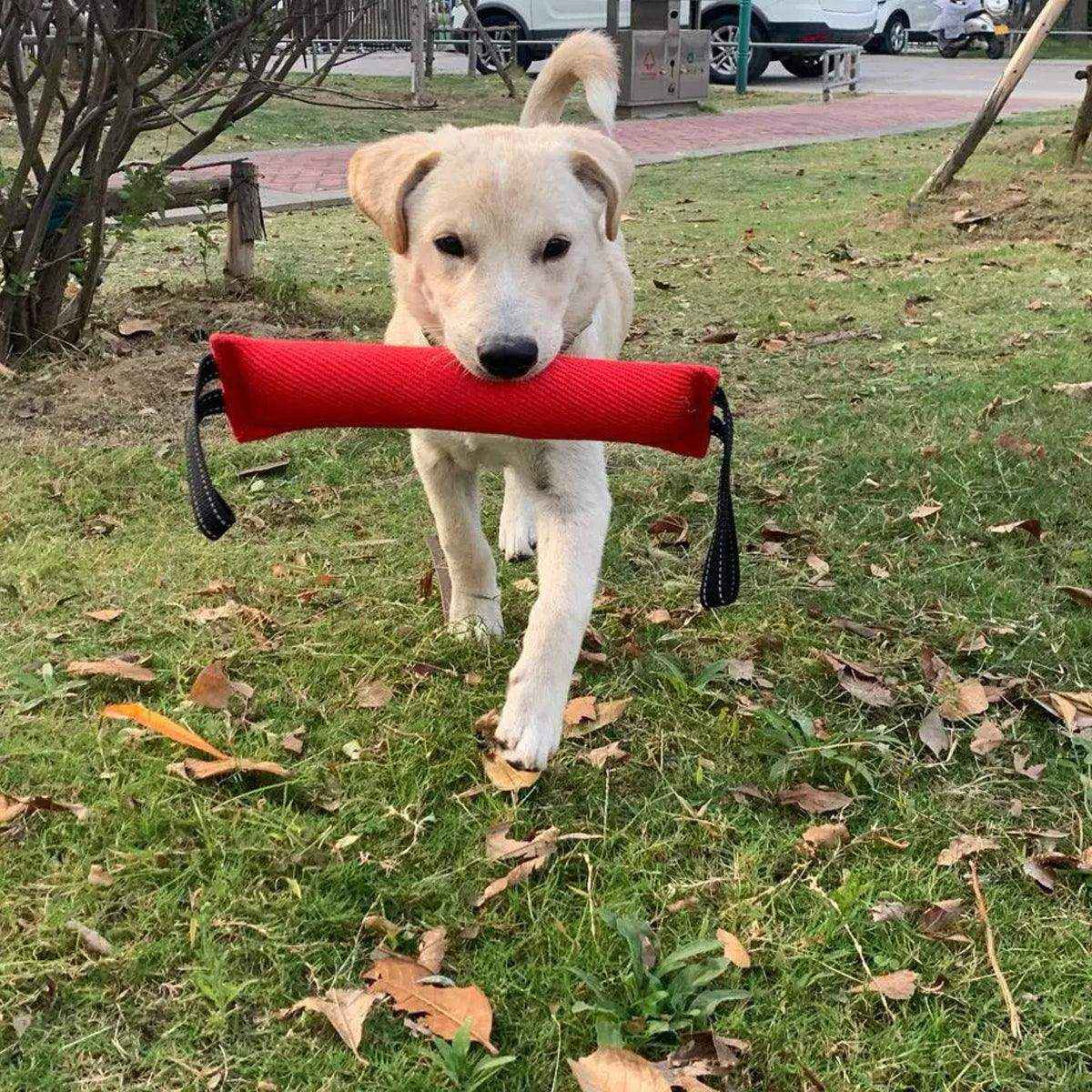 Durable Dog Bite Stick Training & Tug Toy for Dogs - Image 10
