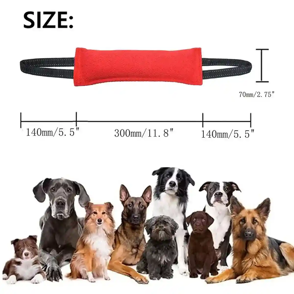 Durable Dog Bite Stick Training & Tug Toy for Dogs - Image 13