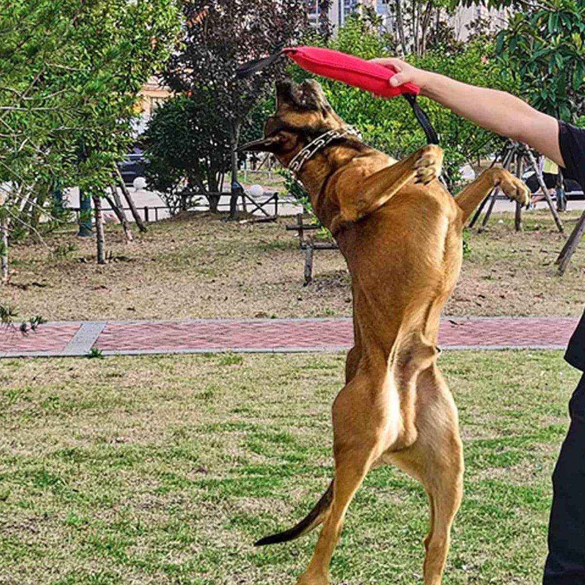 Durable Dog Bite Stick Training & Tug Toy for Dogs - Image 4