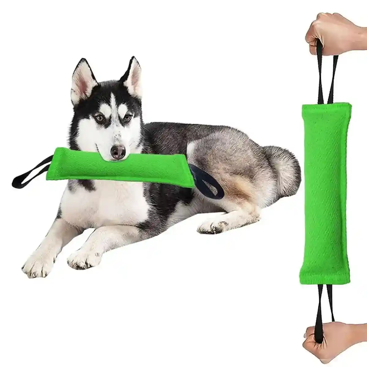 Durable Dog Bite Stick Training & Tug Toy for Dogs - Image 6