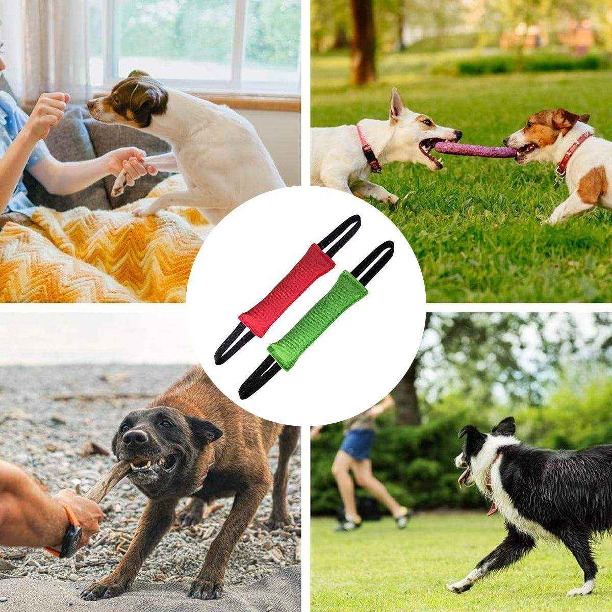 Durable Dog Bite Stick Training & Tug Toy for Dogs - Image 8
