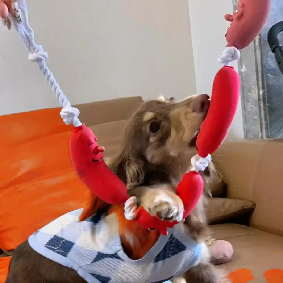 Durable Dog Chew Rope Toy Sausage Design for Small & Medium Breeds - Image 12