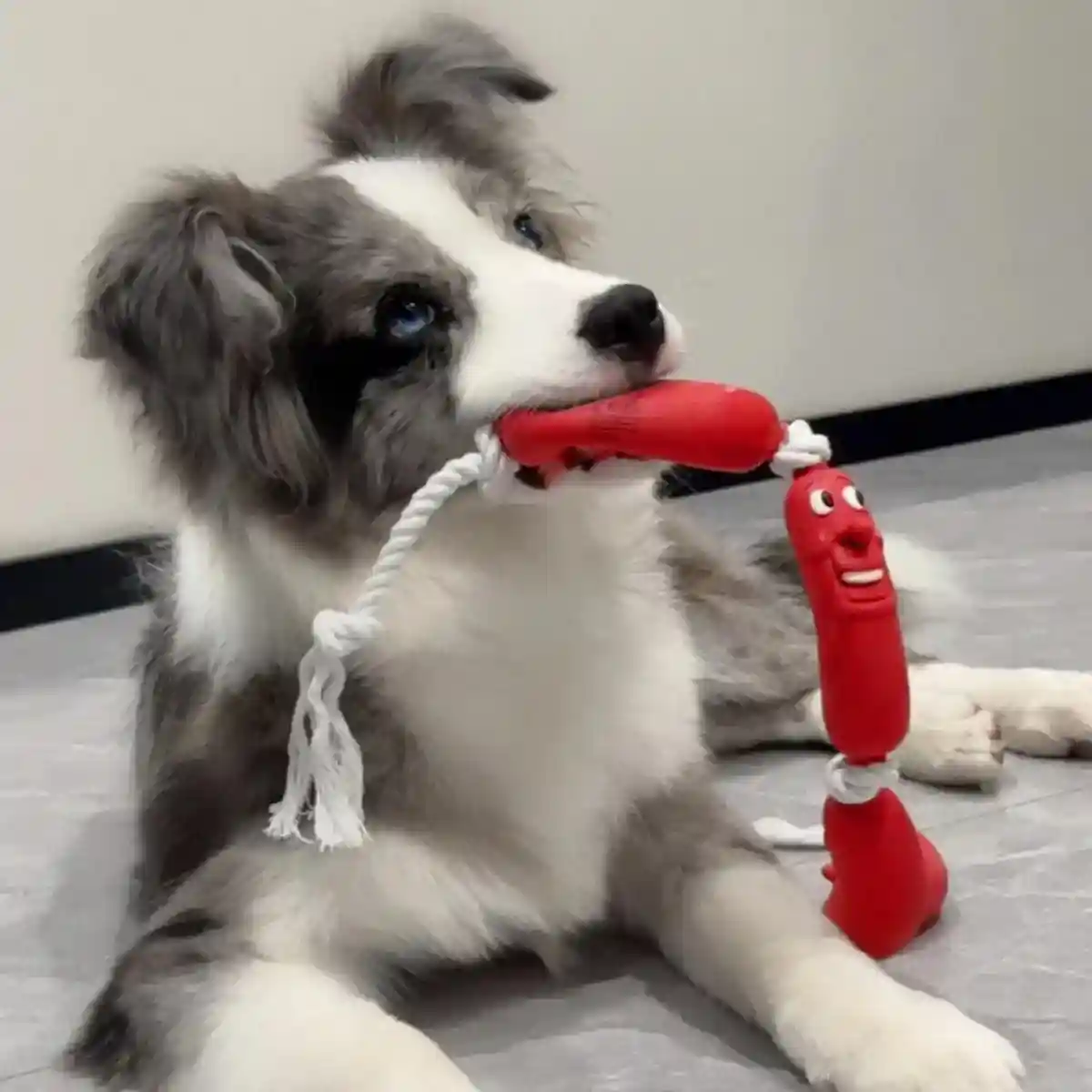 Durable Dog Chew Rope Toy Sausage Design for Small & Medium Breeds - Image 6