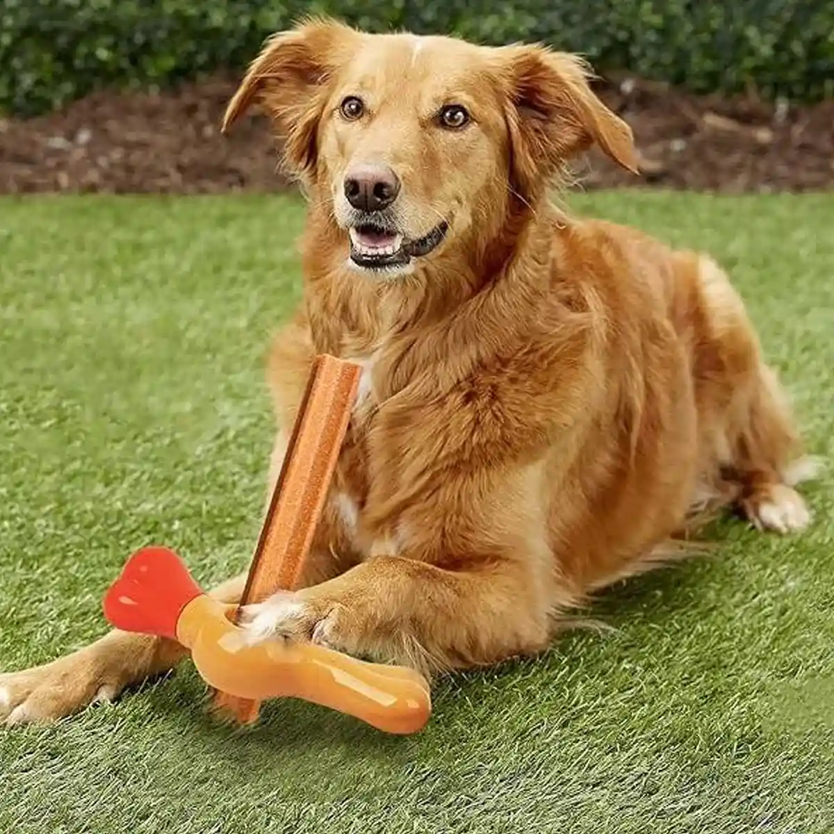 Durable Dog Chew Stick Holder Safe Bully Stick Grip for Medium Dogs - Image 13