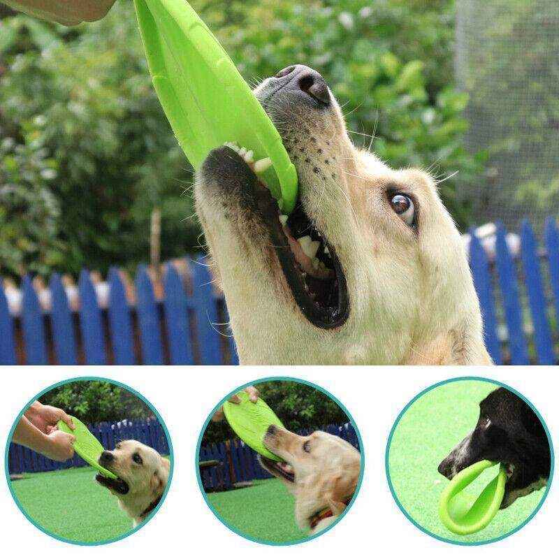 Dog Frisbee Rubber Outdoor Training Toy 6 Colours - Image 11