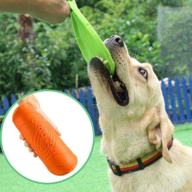 Dog Frisbee Rubber Outdoor Training Toy 6 Colours - Image 13