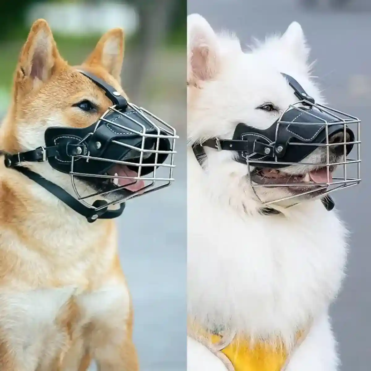 Durable Dog Mouth Guard with Stainless Steel Basket & Adjustable Straps - Image 8