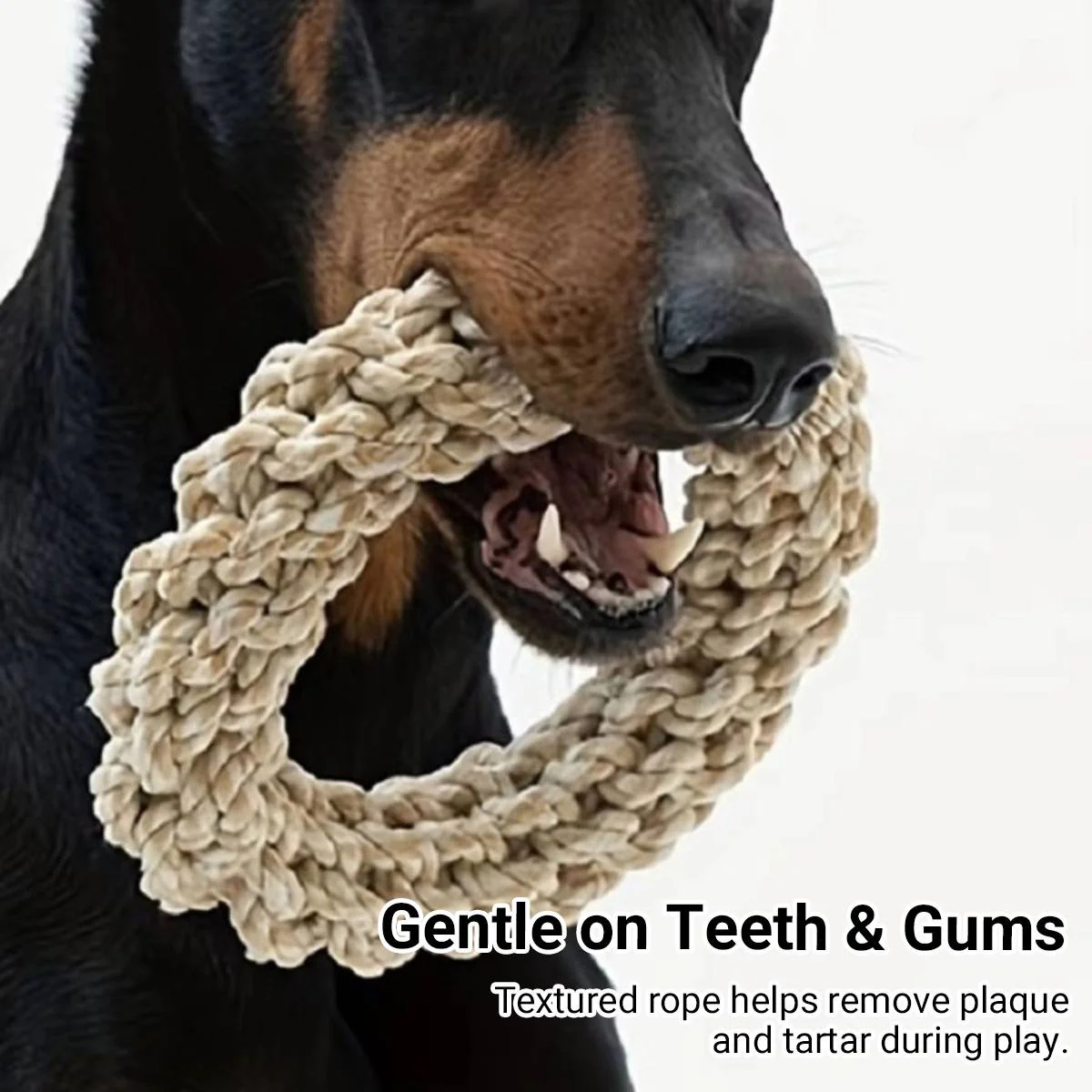 Durable Dog Rope Chew Ring - Image 3