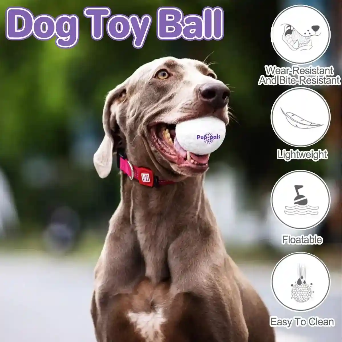 Durable and Lightweight Dog Toy Ball for Indoor & Outdoor Play - Image 2