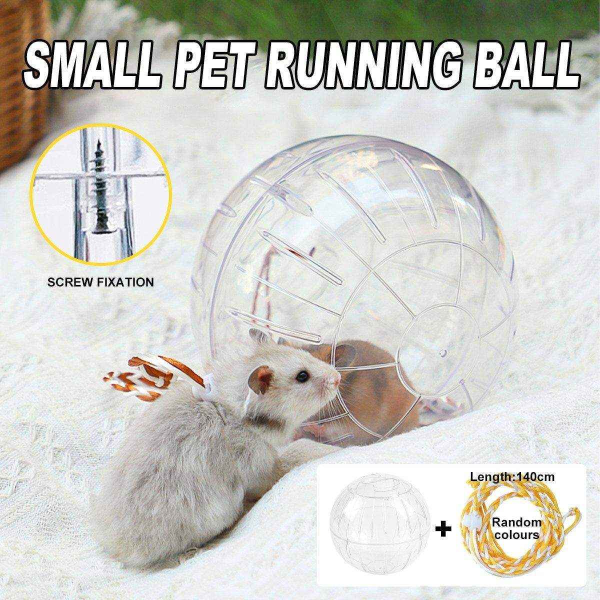Hamster Running Ball Wheel Exercise Roller Toy Supplies Outside Cage Activity