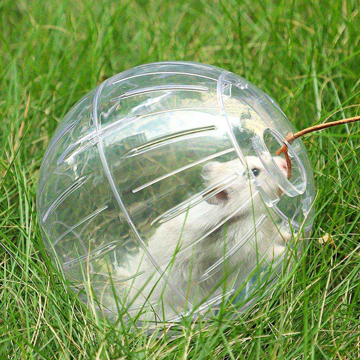 Hamster Running Ball Wheel Exercise Roller Toy Supplies Outside Cage Activity - Image 13