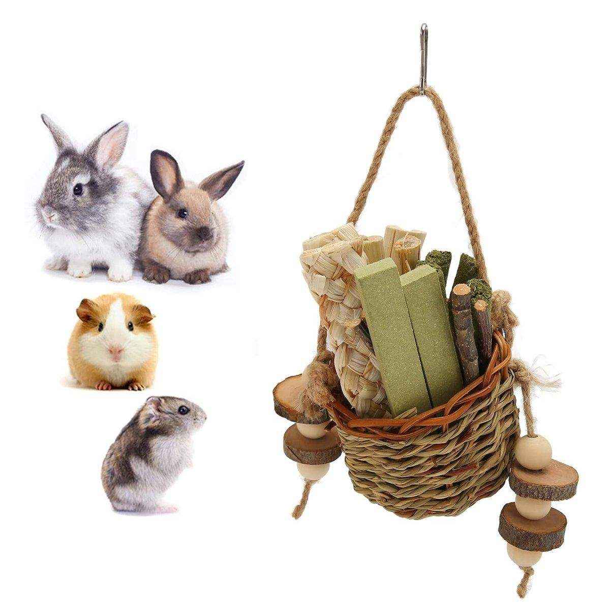 Durable Natural Pet Chew Toy Set - Image 7