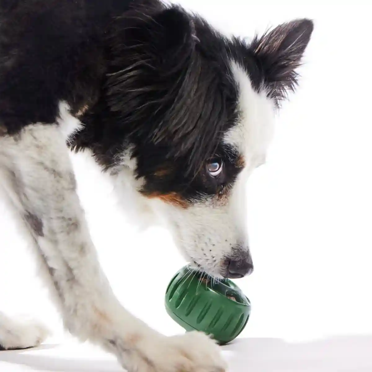 Durable Dog Treat Tray Mold & Toy Long-Lasting Dog Snack Maker - Image 9