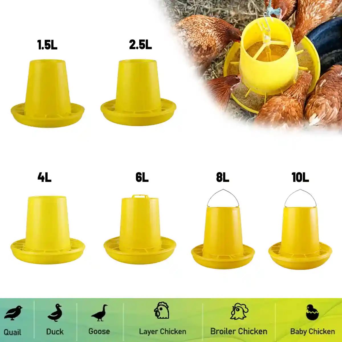 Durable Poultry Feeder Chicken & Hen Feed Dispenser (1.5L–10L) - Image 7