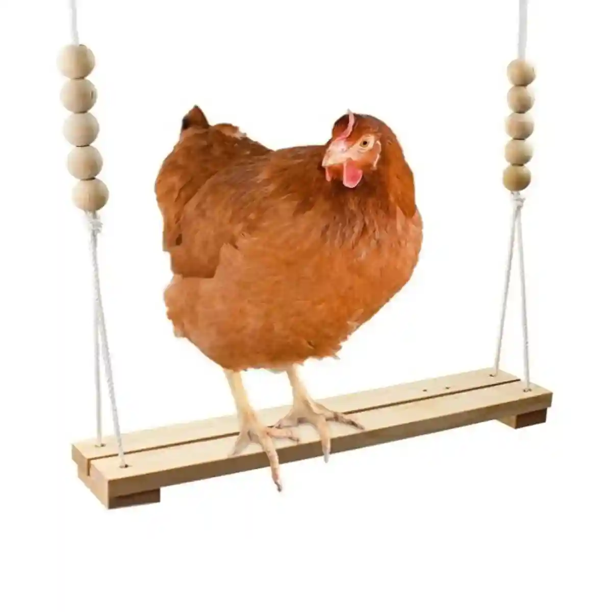 Durable Wooden Chicken Swing for Outdoor Poultry Coops - Image 10