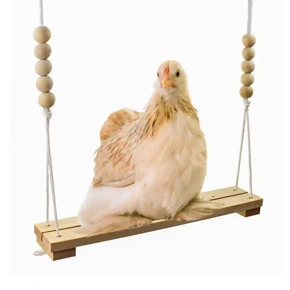 Durable Wooden Chicken Swing for Outdoor Poultry Coops - Image 4
