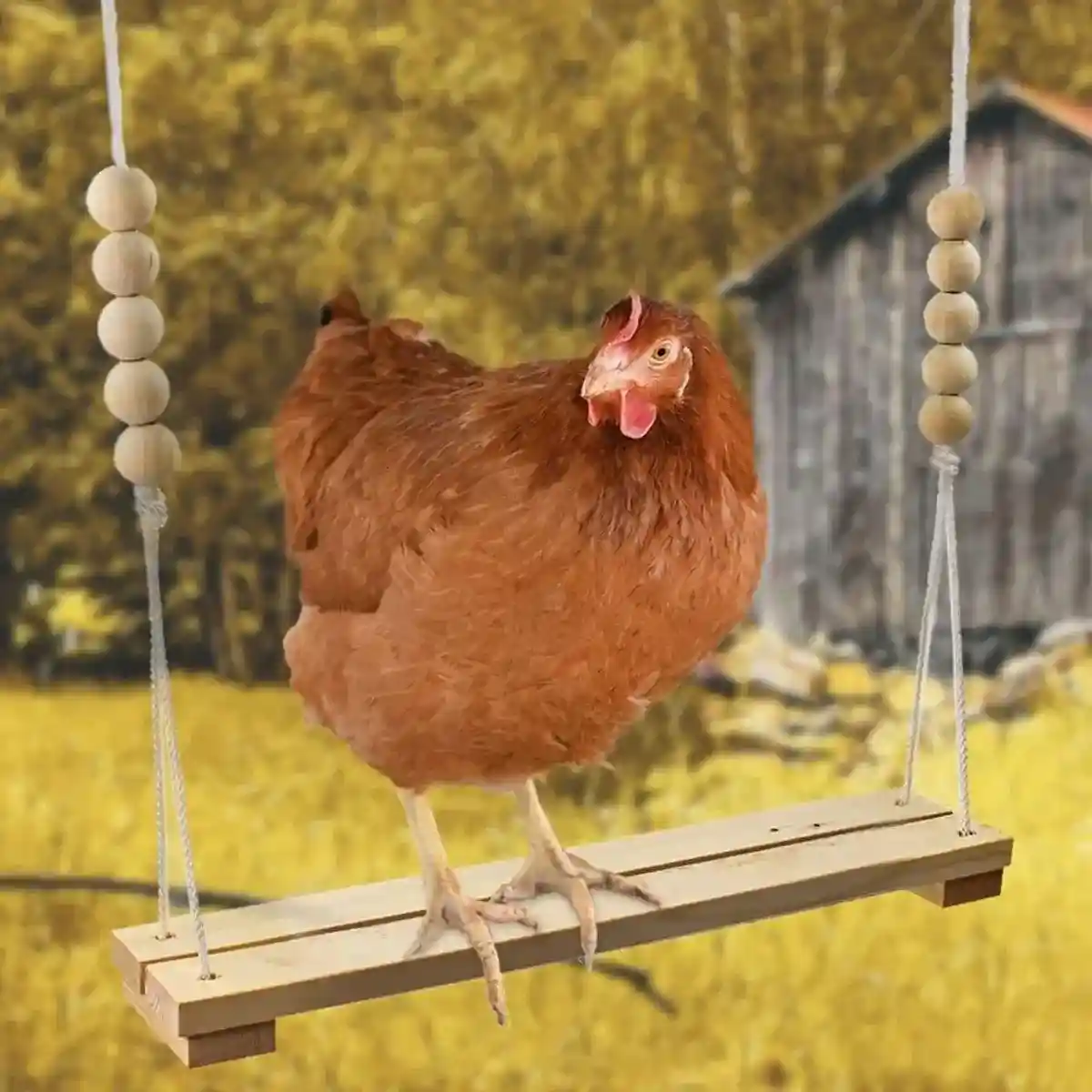 Durable Wooden Chicken Swing for Outdoor Poultry Coops - Image 9