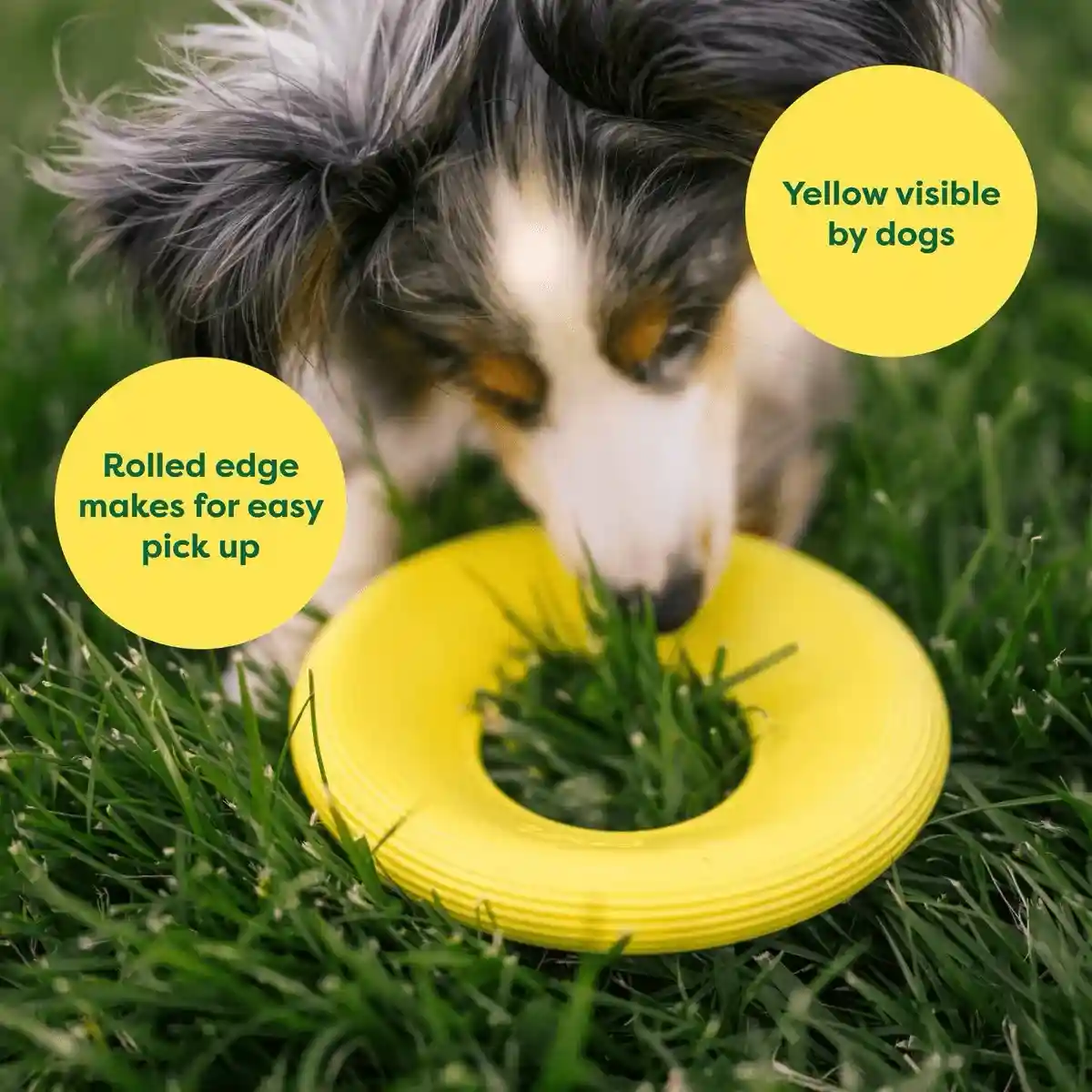 Earth Rated Durable Dog Flyer Toy Floating Flying Disc for Active Fetch Play - Image 13