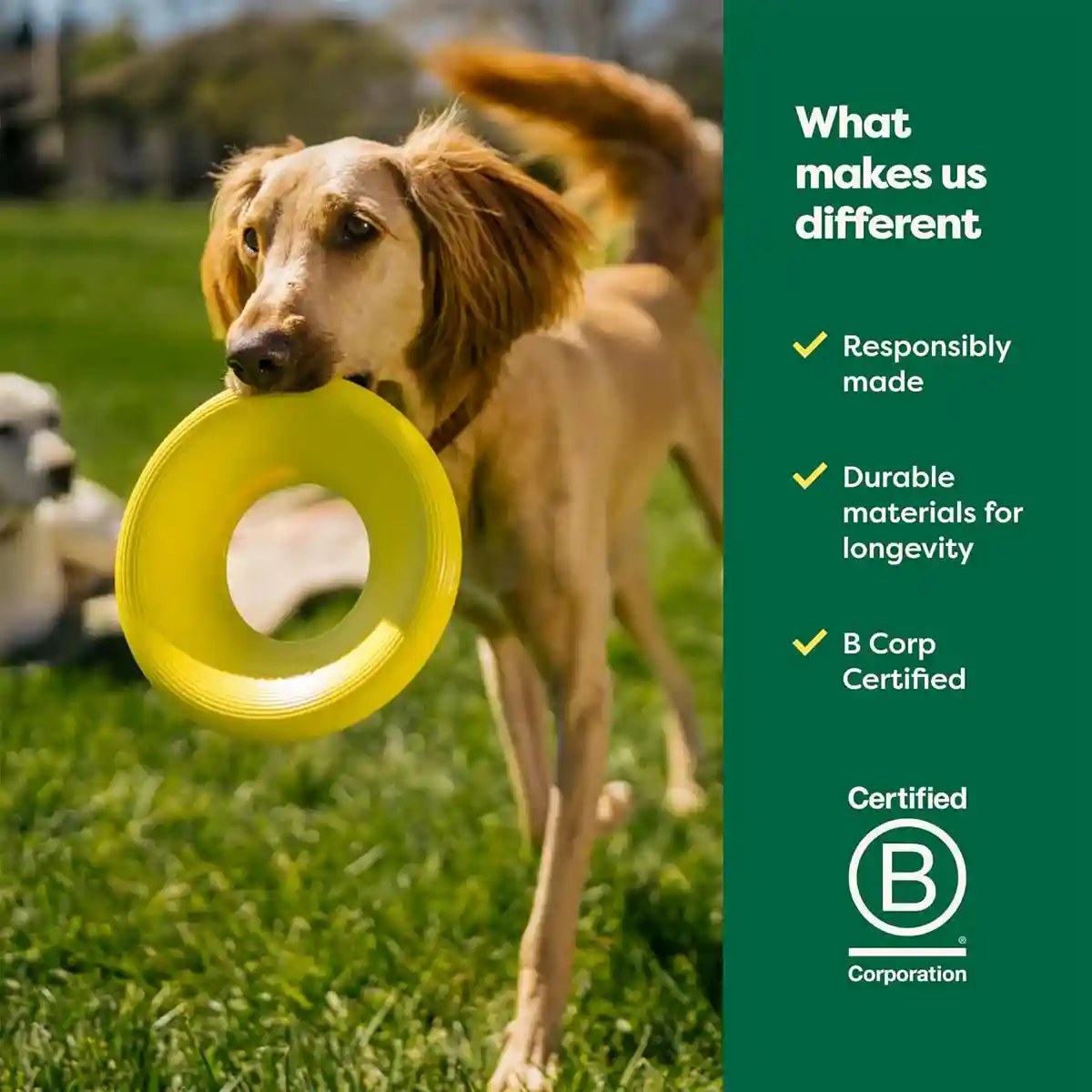 Earth Rated Durable Dog Flyer Toy Floating Flying Disc for Active Fetch Play - Image 7
