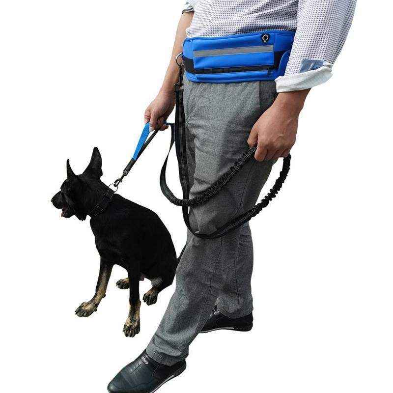 Dog Leash Lead With Waist Bag 4 Colours - Image 11