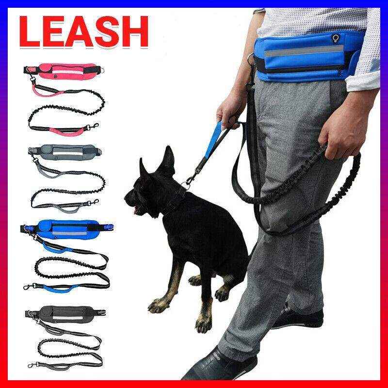Dog Leash Lead With Waist Bag 4 Colours - Image 3
