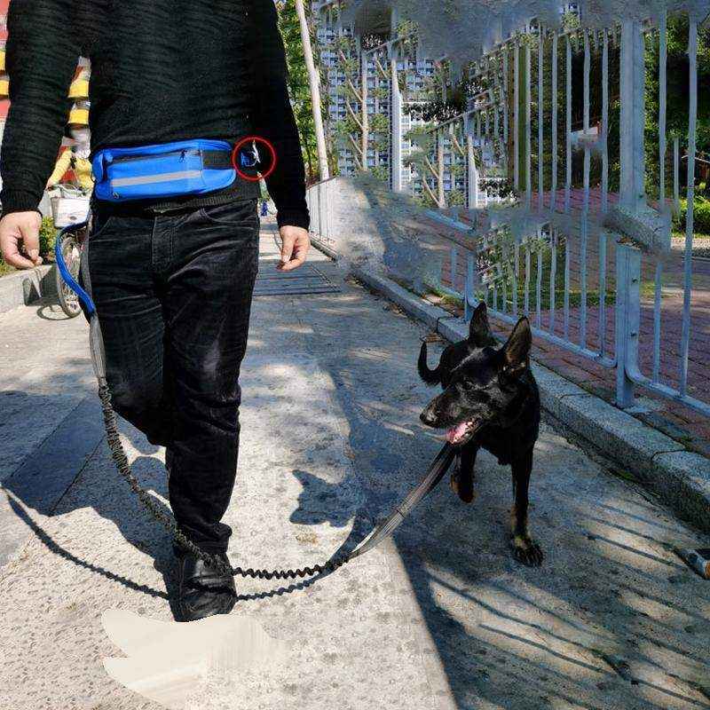 Dog Leash Lead With Waist Bag 4 Colours - Image 4