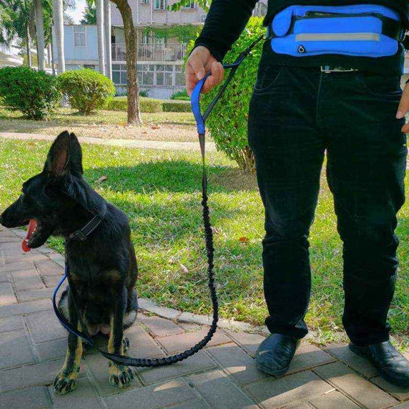Dog Leash Lead With Waist Bag 4 Colours - Image 6