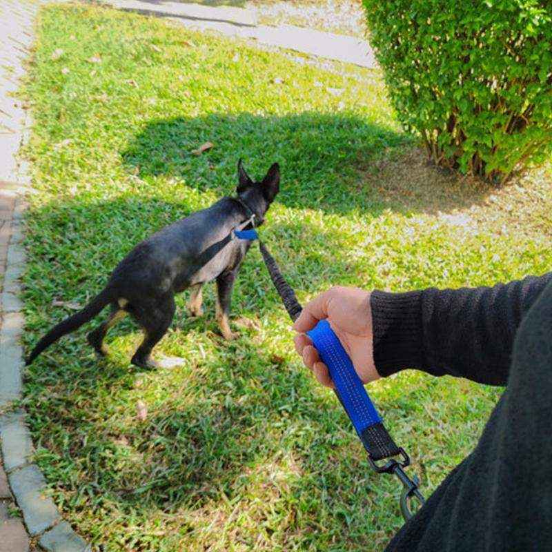 Dog Leash Lead With Waist Bag 4 Colours - Image 8