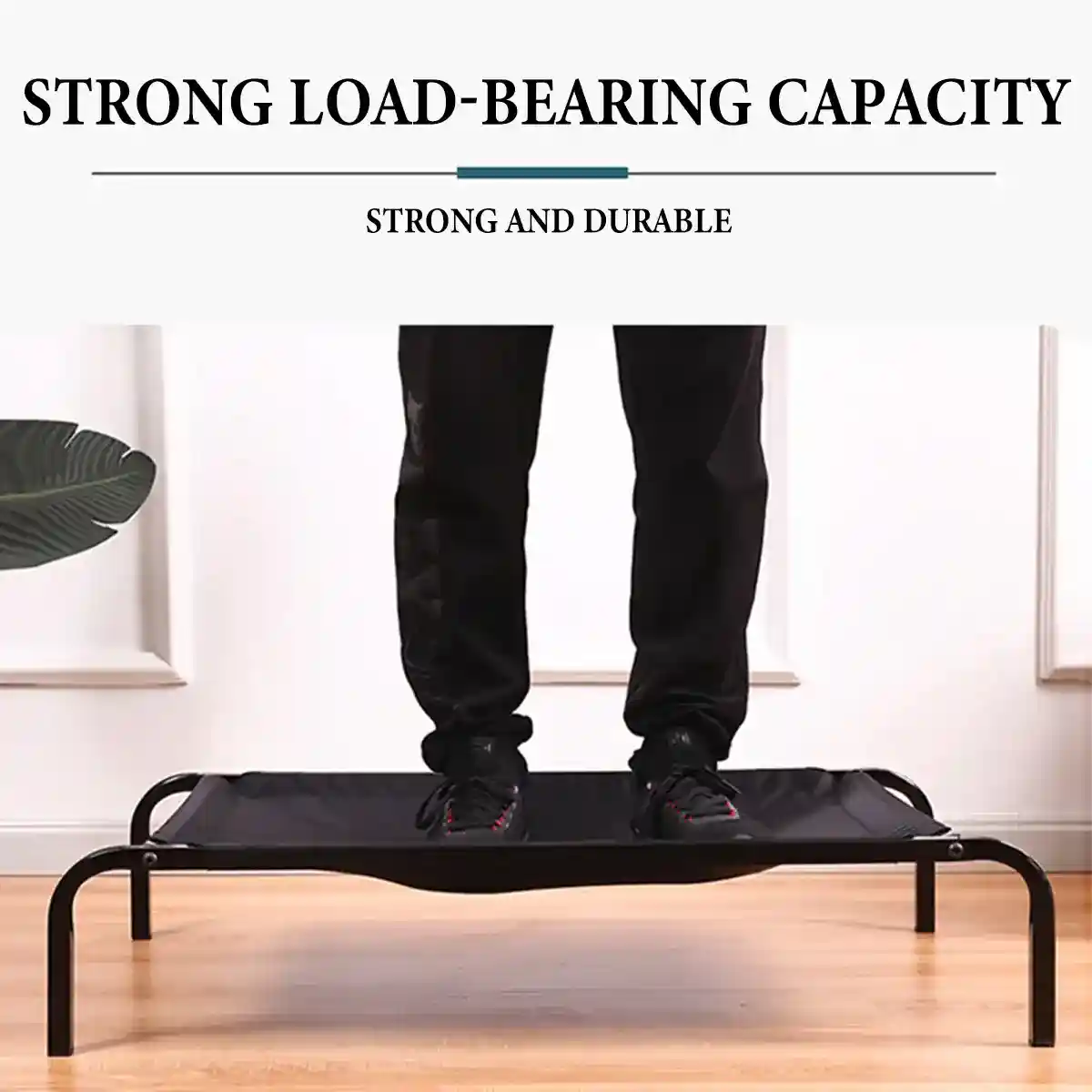 Elevated Breathable Pet Bed for Indoor and Outdoor Use - Image 10