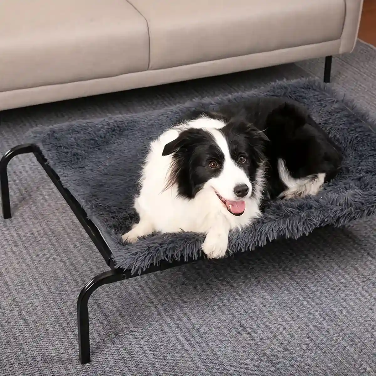 Elevated Breathable Pet Bed for Indoor and Outdoor Use - Image 15